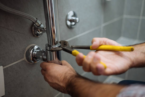 Best Clogged Drain Plumber  in Sherwood, OH